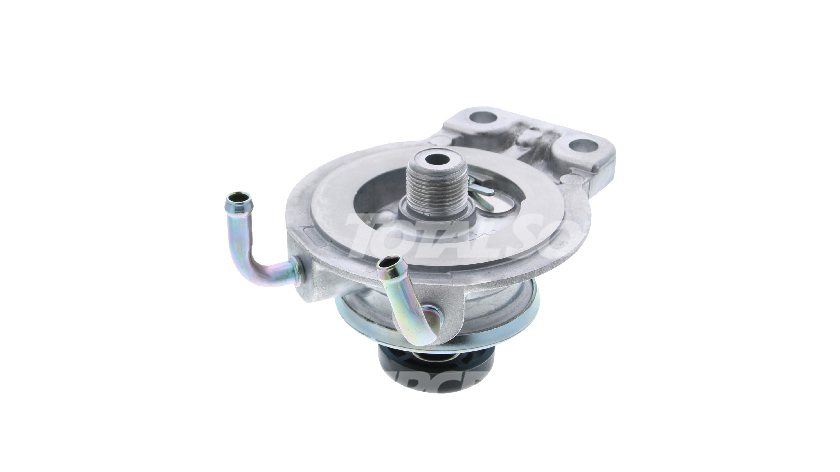 5001拉斯维加斯(中国游)有限公司-BinG百科